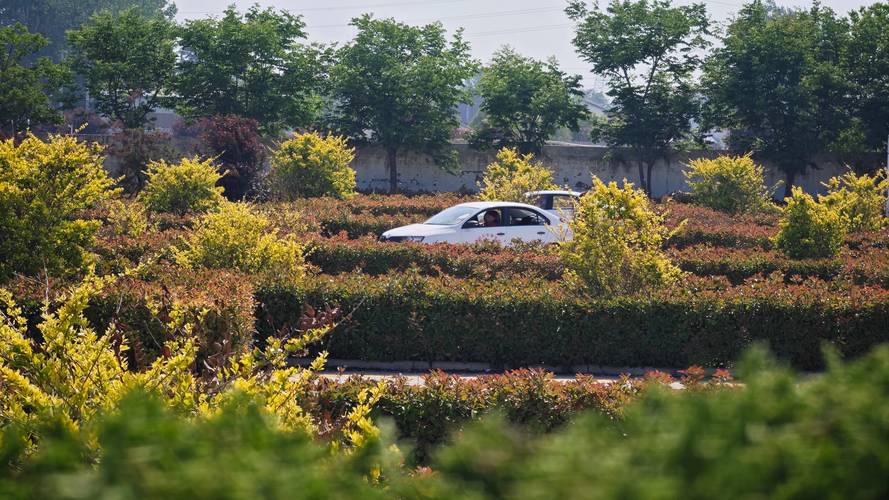 长垣市安捷机动车驾驶员培训 新手学车的优选之地